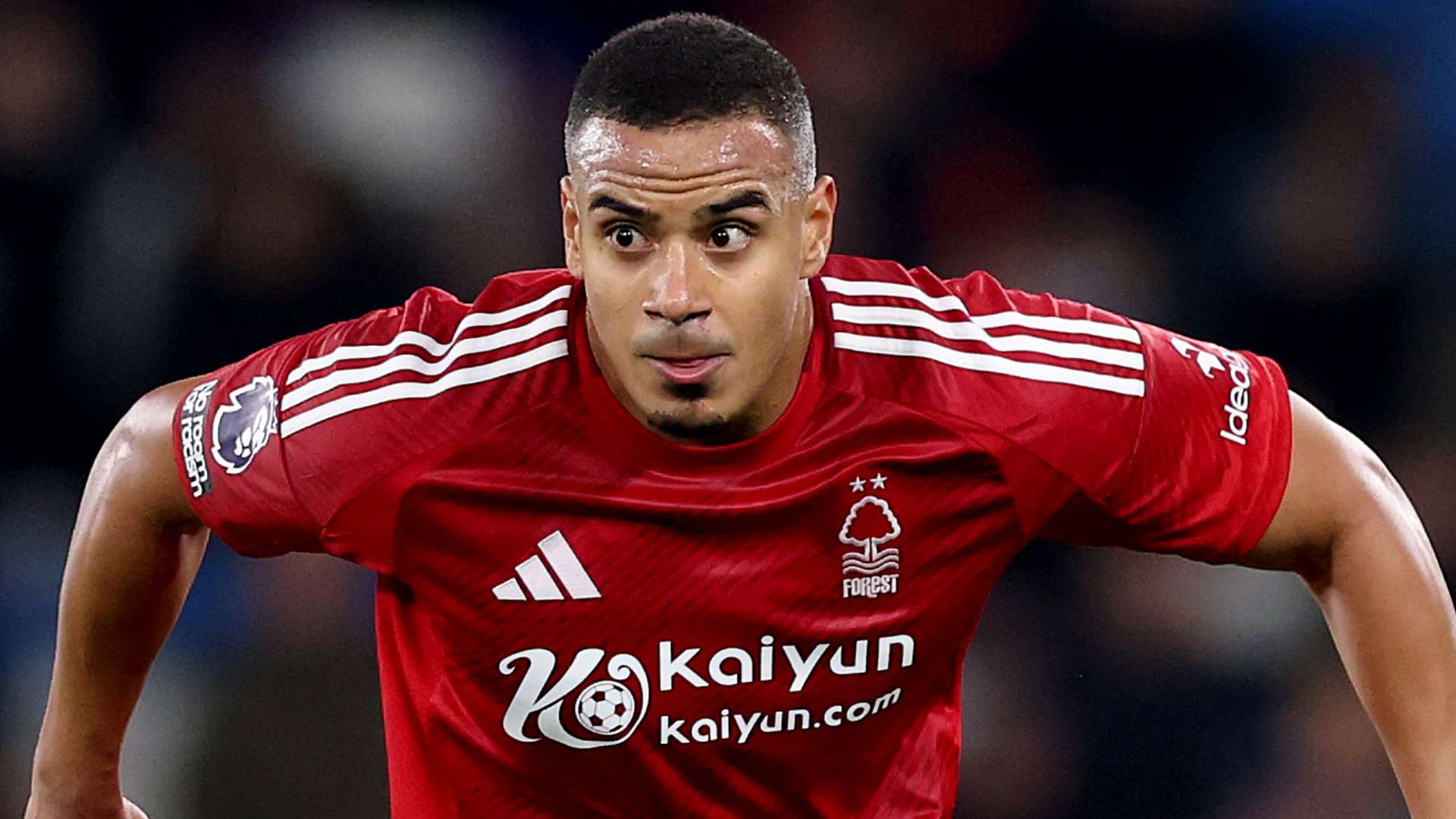 巴西队在面 巴西队在面